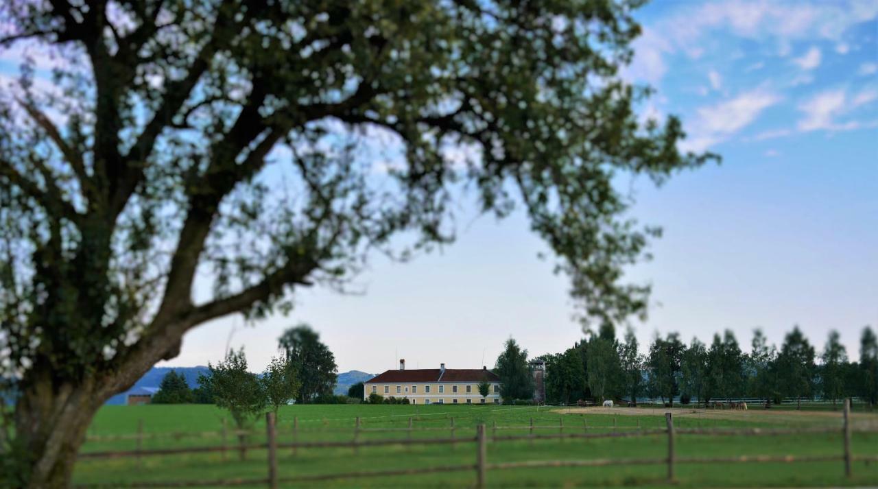 Reiterbauernhof Schoenlehenhof Mank Esterno foto