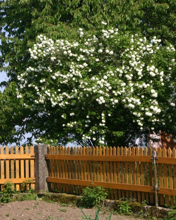 Reiterbauernhof Schoenlehenhof Mank Esterno foto